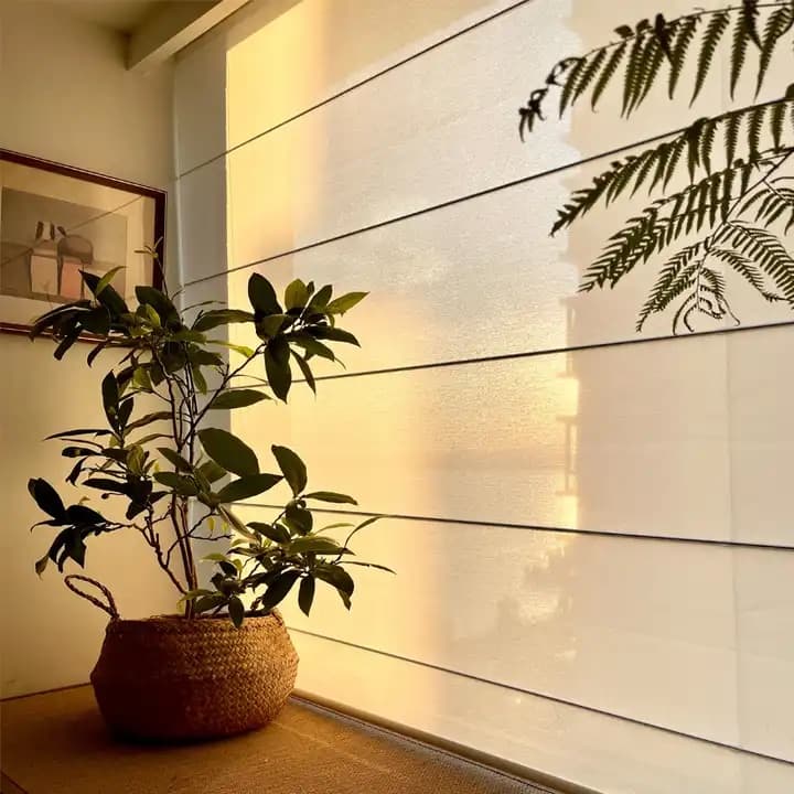 Interior window nook with minimalist potted plant